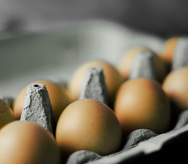 carton full of eggs
